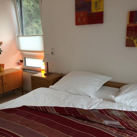 Am Heider Bergsee Appartement Brühl Buitenkant foto